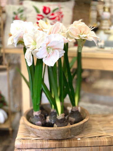 Gift Shop «Magpies Gifts», reviews and photos, 4837 Sweetwater Blvd, Sugar Land, TX 77479, USA