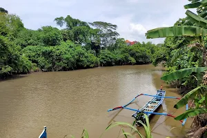 Pangkung Tibah River Tour image