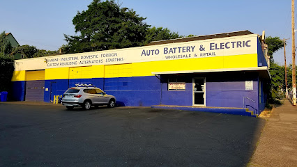 Auto Battery and Electric