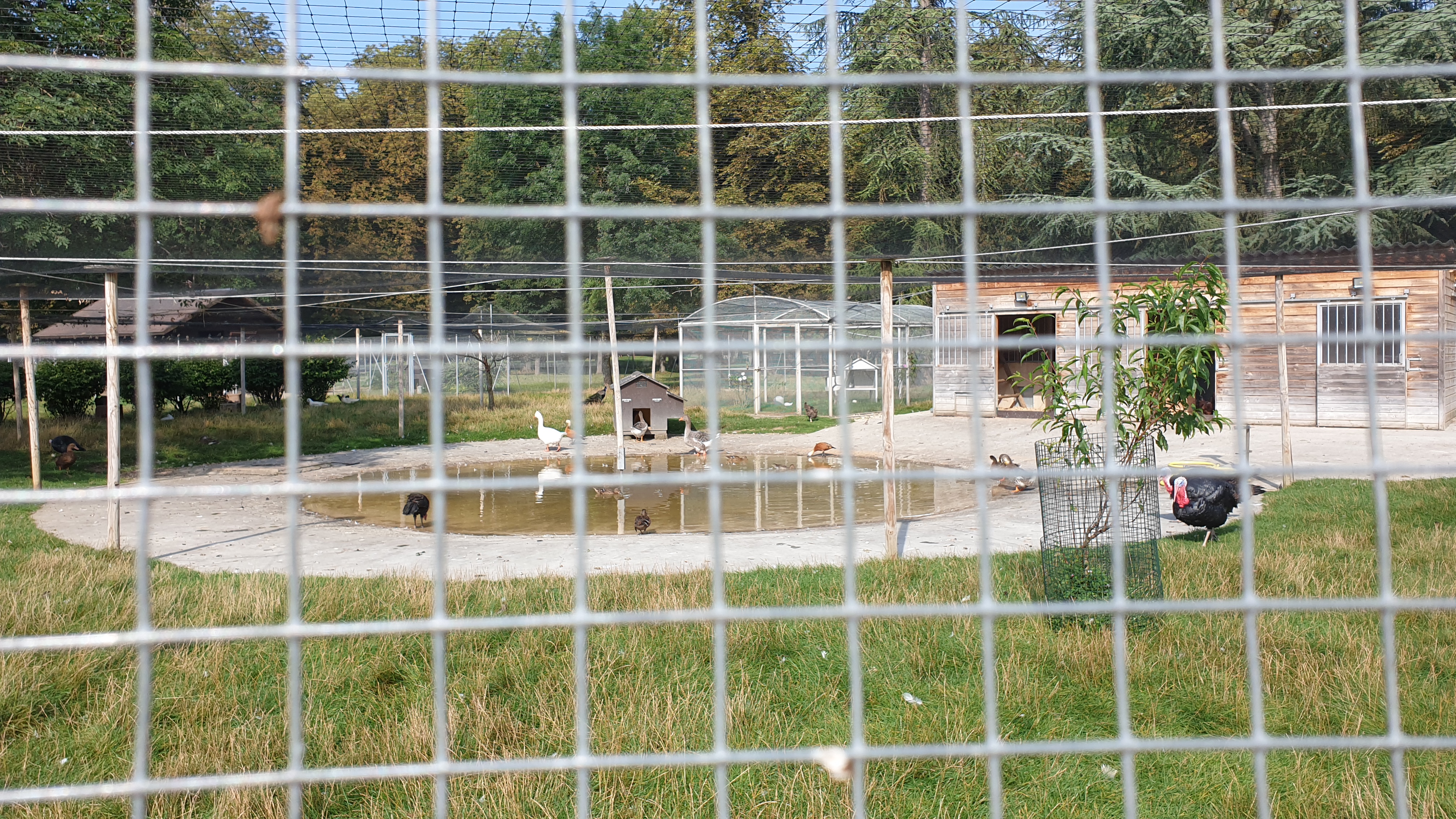 Photo n° 8 de l'avis de BMB.O fait le 14/09/2017 à 07:10