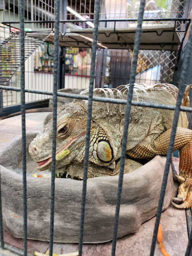Pet Store «Wet Pet & Reptile Center», reviews and photos, 429 Eastern Blvd, Essex, MD 21221, USA