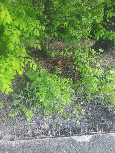 Modern Art Museum «Solomon R. Guggenheim Museum», reviews and photos, 1071 5th Ave, New York, NY 10128, USA