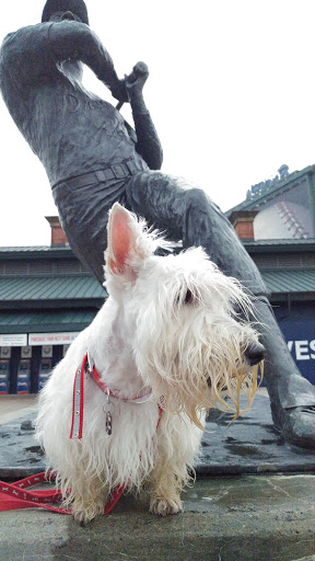 Stadium «Turner Field», reviews and photos, 755 Hank Aaron Dr SE, Atlanta, GA 30315, USA