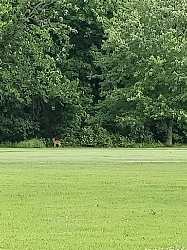Golf Course «McDonald Golf Course», reviews and photos, 2905 E Morgan Ave, Evansville, IN 47711, USA