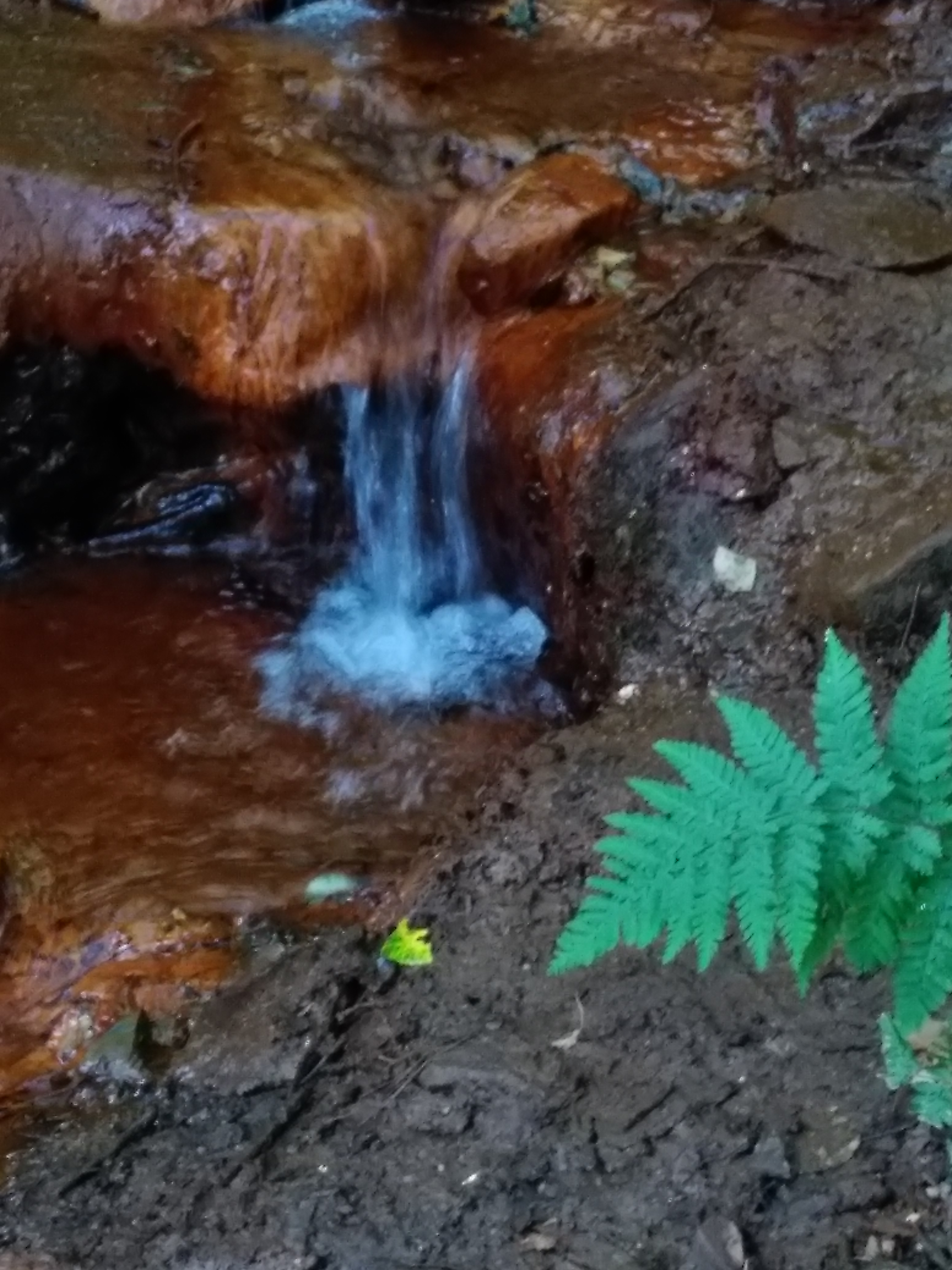 Photo n° 3 de l'avis de Severine. fait le 13/09/2018 à 19:59