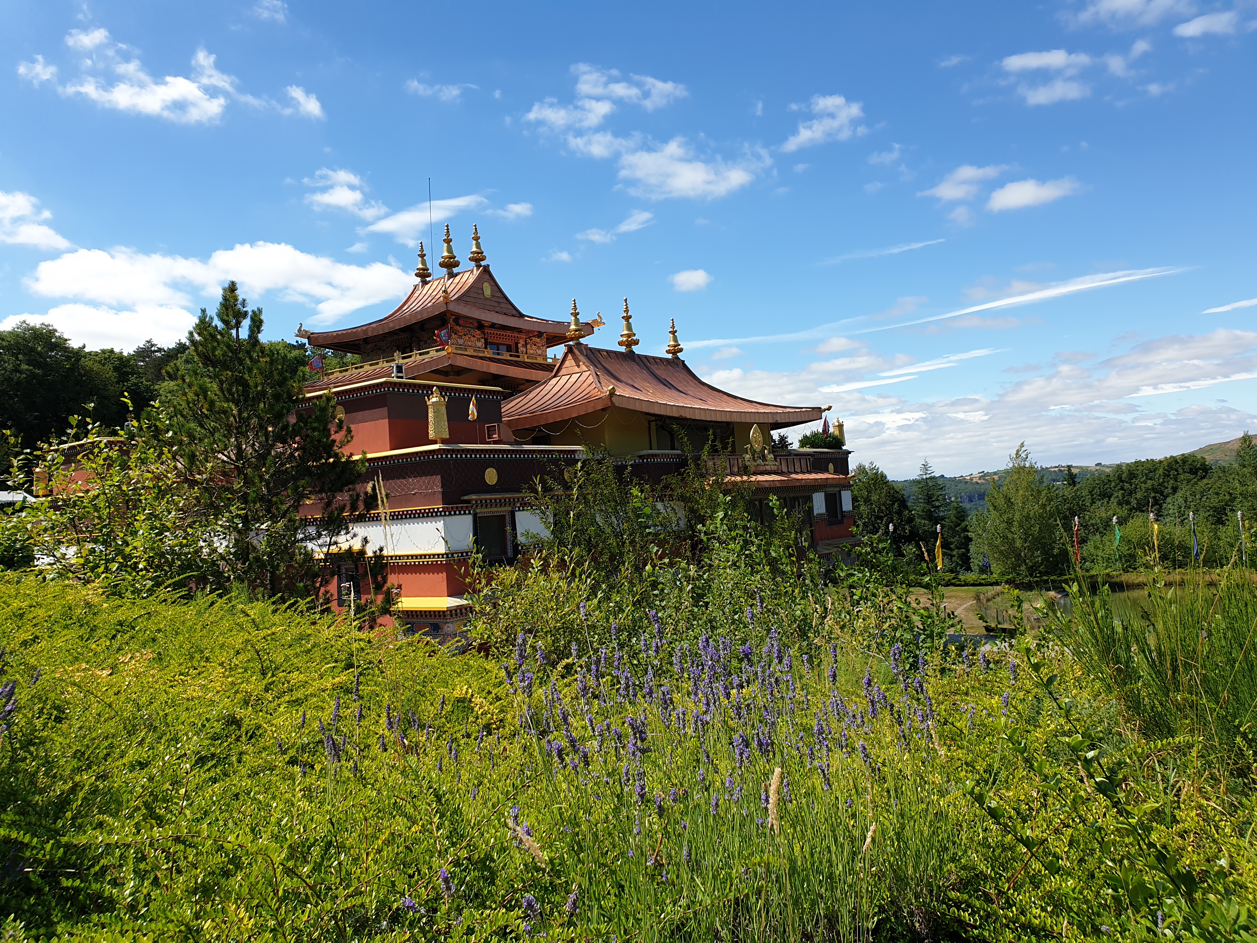 Photo n° 16 de l'avis de Lily.� fait le 19/07/2020 à 11:50