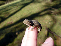 ENPLAN Environmental and Geospatial Technologies - Photo 8 - Car repair in Redding, CA, Redding