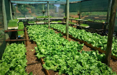 siyakhana food garden