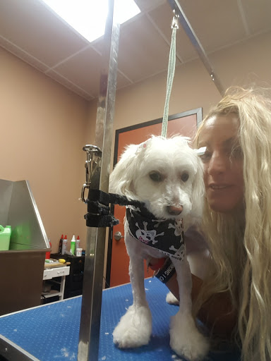 Pet Store «Pet Valu», reviews and photos, 2645 Shillington Rd, Sinking Spring, PA 19608, USA