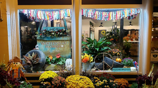 Florist «Westerville Florist», reviews and photos, 14 S State St, Westerville, OH 43081, USA