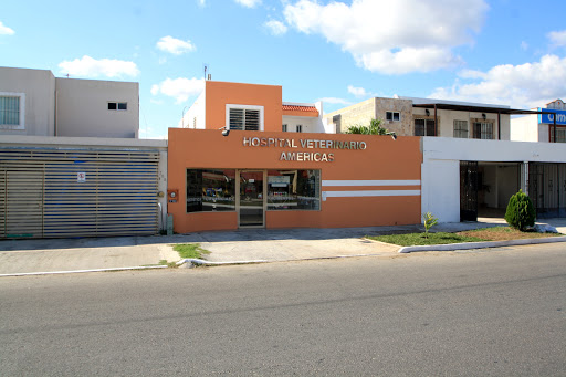 HOSPITAL VETERINARIO AMÉRICAS