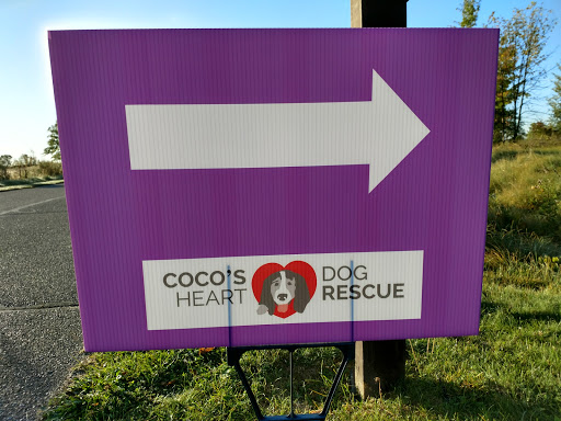 Park «Lake Elmo Park Reserve», reviews and photos, 1515 Keats Ave N, Lake Elmo, MN 55042, USA