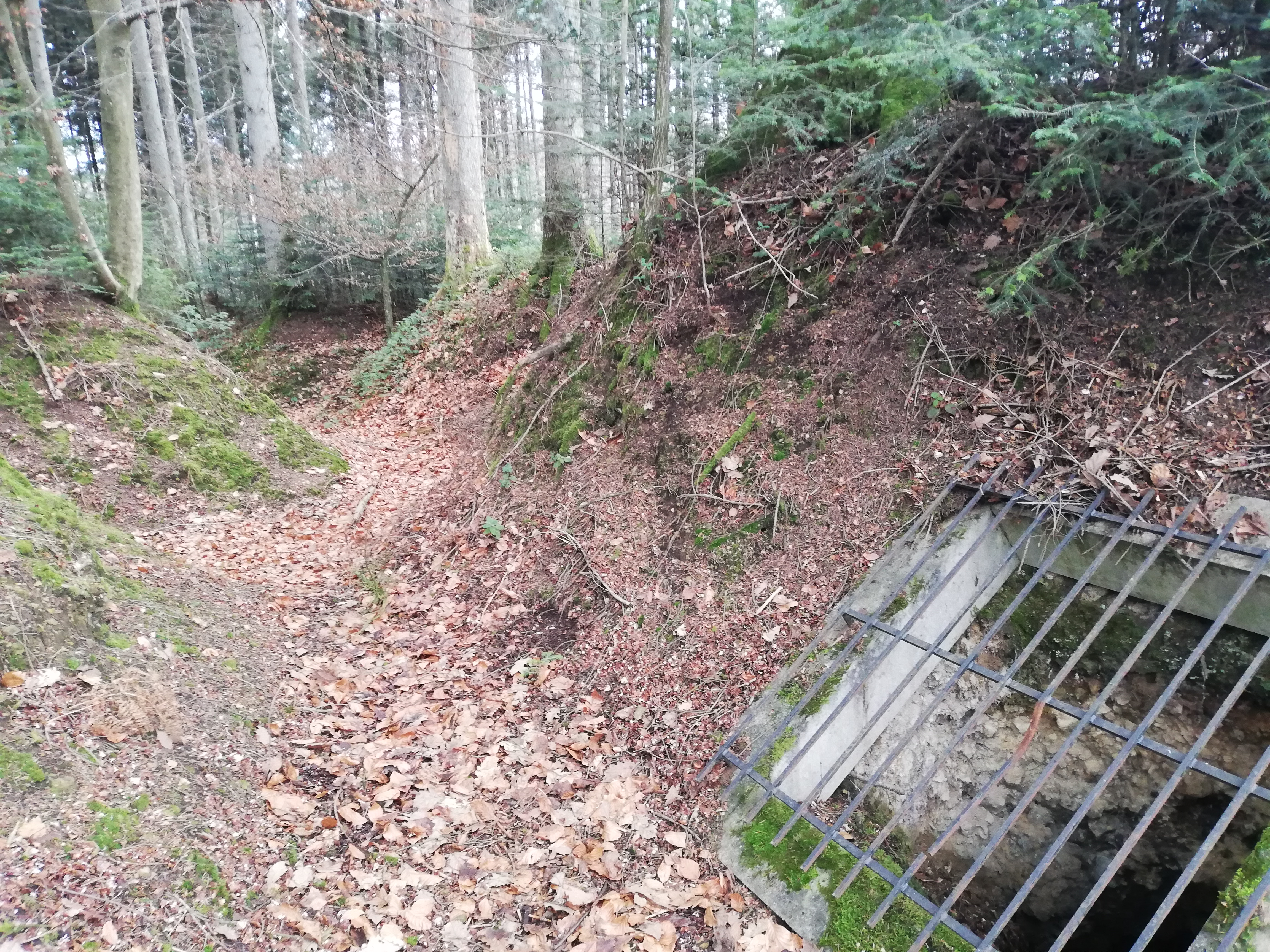 Photo n° 4 de l'avis de Jeanpaul.o fait le 01/01/2023 à 21:57