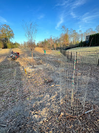 Barron lawn maintenance - Photo 8 - Car repair in Warner Robins, GA, Macon