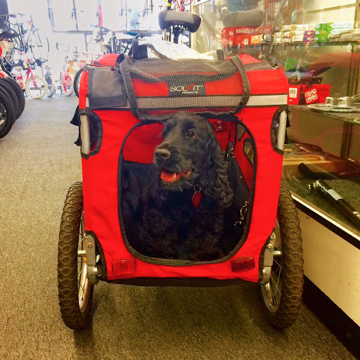 Bicycle Store «Bicycle Central», reviews and photos, 121 W Rte 66, Glendora, CA 91740, USA