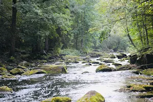 Nukari rapid image