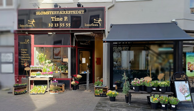 Kommentarer og anmeldelser af Tine P