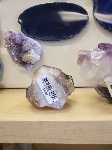 Book Store «Books-A-Million», reviews and photos, 3005 Clarendon Blvd, New Bern, NC 28562, USA