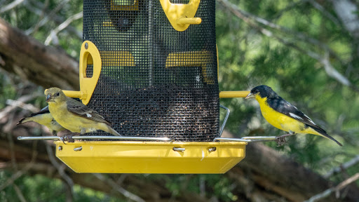 Non-Profit Organization «Westcave Outdoor Discovery Center», reviews and photos, 24814 Hamilton Pool Rd, Round Mountain, TX 78663, USA