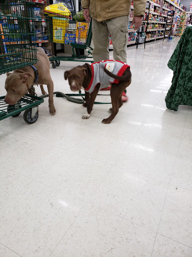 Pet Supply Store «Pet Supplies Plus», reviews and photos, 1856 Hendersonville Rd a, Asheville, NC 28803, USA