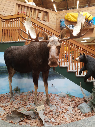 Outdoor Sports Store «Kittery Trading Post», reviews and photos, 301 US-1, Kittery, ME 03904, USA