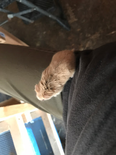 Animal Feed Store «Whittier Feed Store», reviews and photos, 12618 Penn St, Whittier, CA 90602, USA