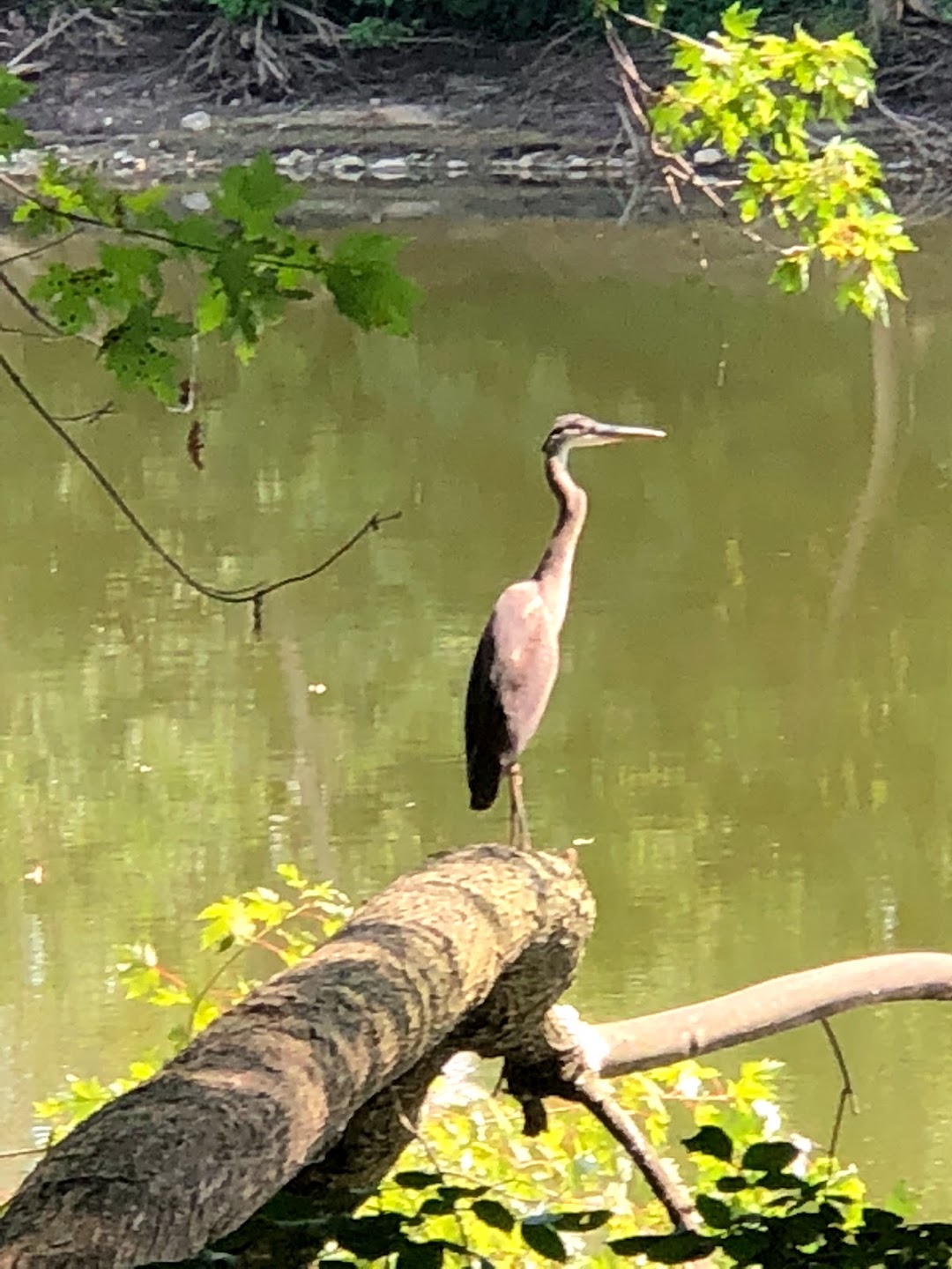 Kent County Parks Department