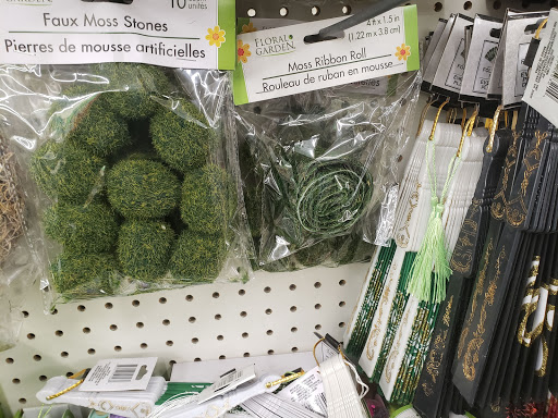 Dollar Store «Dollar Tree», reviews and photos, 2090 Northdale Blvd NW, Coon Rapids, MN 55433, USA