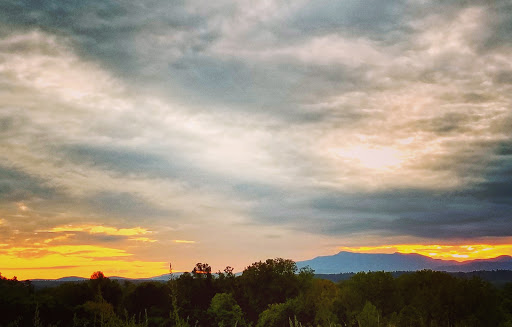 Nature Preserve «Centennial Woods Natural Area», reviews and photos, I-89, Burlington, VT 05401, USA