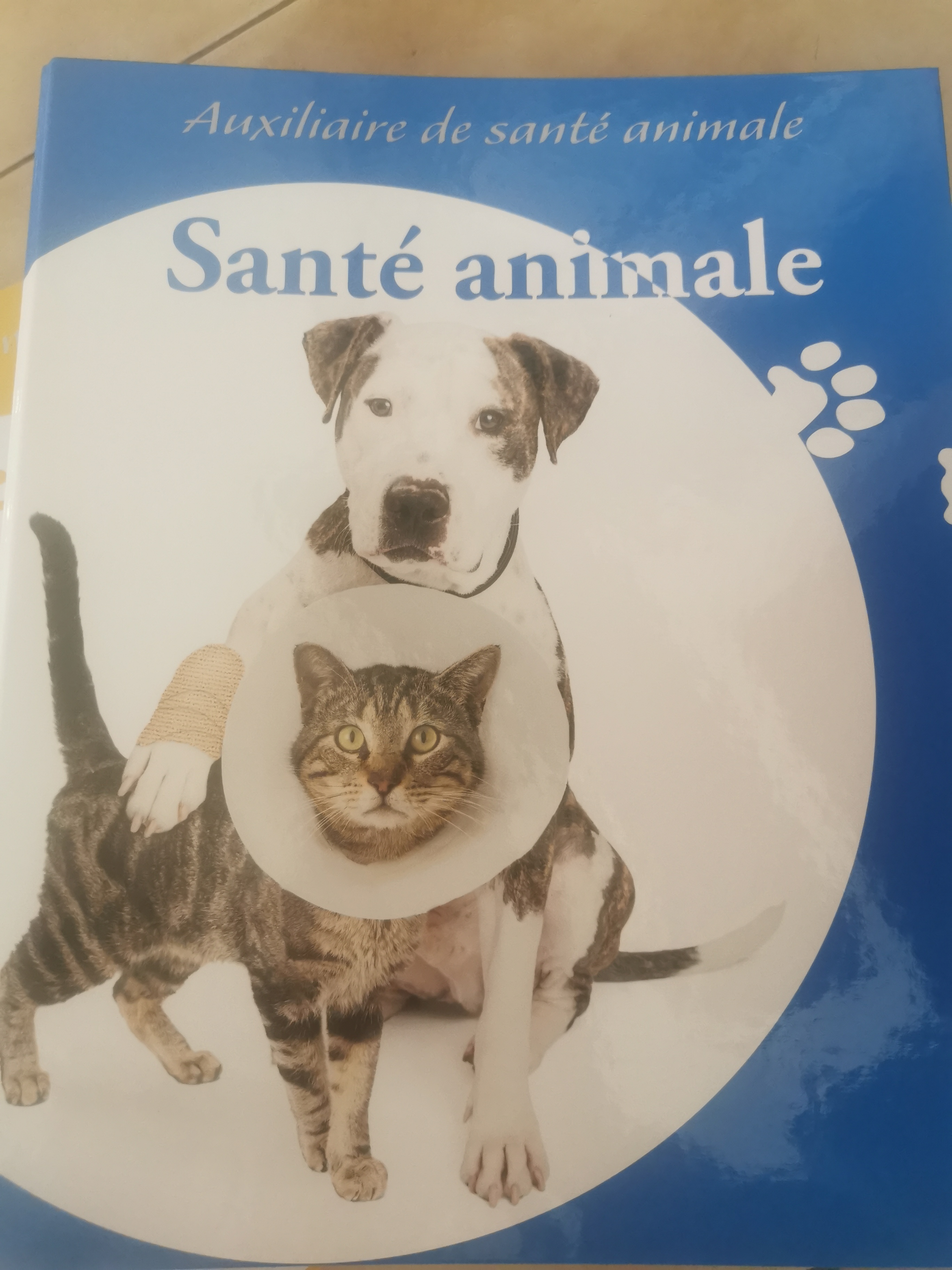 Photo n° 2 de l'avis de Nathalie.h fait le 26/10/2023 à 12:22