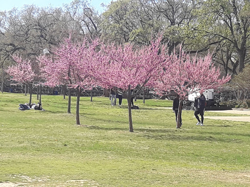 Park «Lafayette Square», reviews and photos, Pennsylvania Ave NW & 16th Street Northwest, Washington, DC 20001, USA