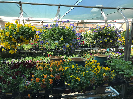 Home Improvement Store «Grange Co-op», reviews and photos, 1262 Stabler Ln, Yuba City, CA 95993, USA