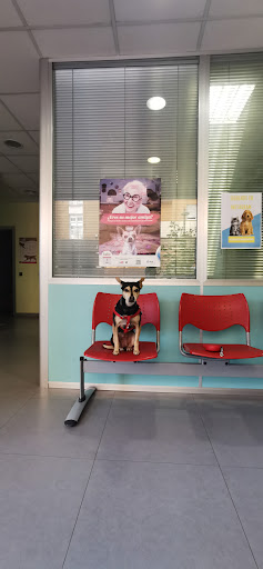 Clínica Veterinaria Paterna en Paterna