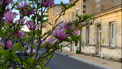 Emilie Charpentier-Libourel à Bordeaux