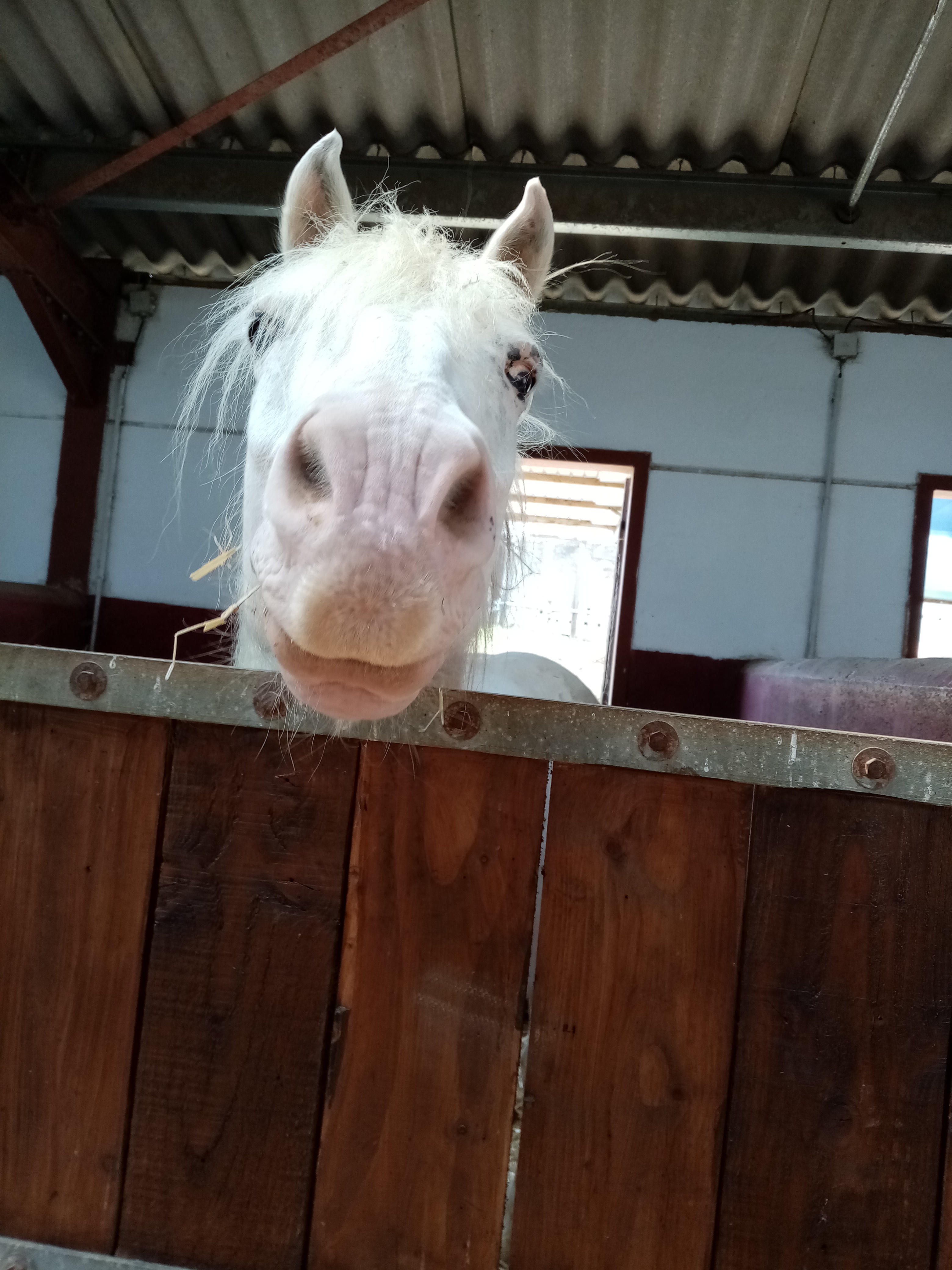 Photo n° 2 de l'avis de Emma.p fait le 20/07/2020 à 14:57
