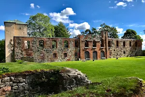 Gräfsnäs castle ruins image