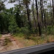 Croom Wildlife Management Area