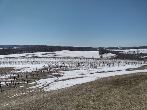 Winery «Galen Glen Winery», reviews and photos, 255 Winter Mountain Dr, Andreas, PA 18211, USA