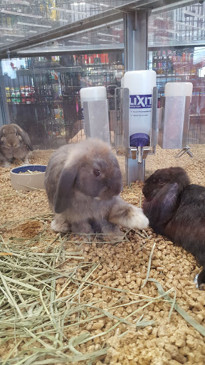 Pet Groomer «We Lov Pets», reviews and photos, 3853 Northpointe Dr, Zanesville, OH 43701, USA