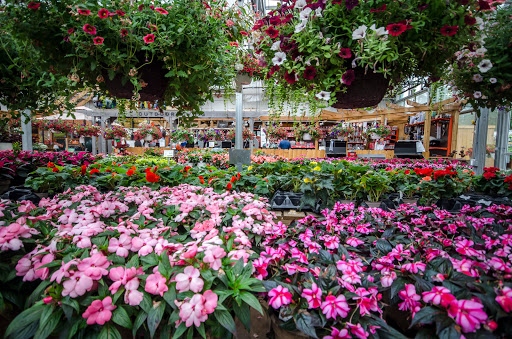 Centro jardineria Indianápolis