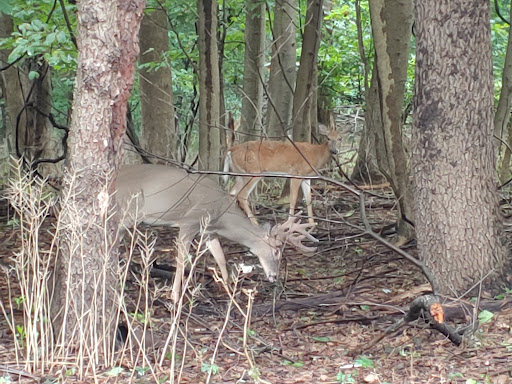 Park «Edison State Park», reviews and photos, 37 Christie St, Edison, NJ 08820, USA