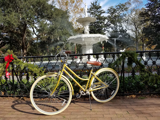 Savannah On Wheels image 10