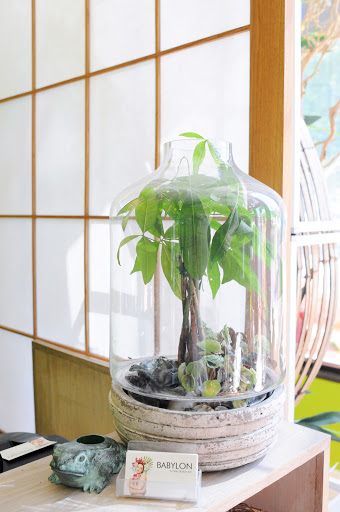 Florist «Babylon Floral», reviews and photos, 1223 E 17th Ave, Denver, CO 80218, USA