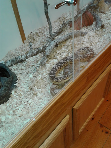 Science Museum «Marine Science Center», reviews and photos, 100 Lighthouse Dr, Ponce Inlet, FL 32127, USA