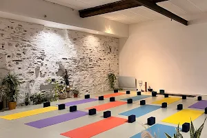 Sattvic Element Yoga Nantes image