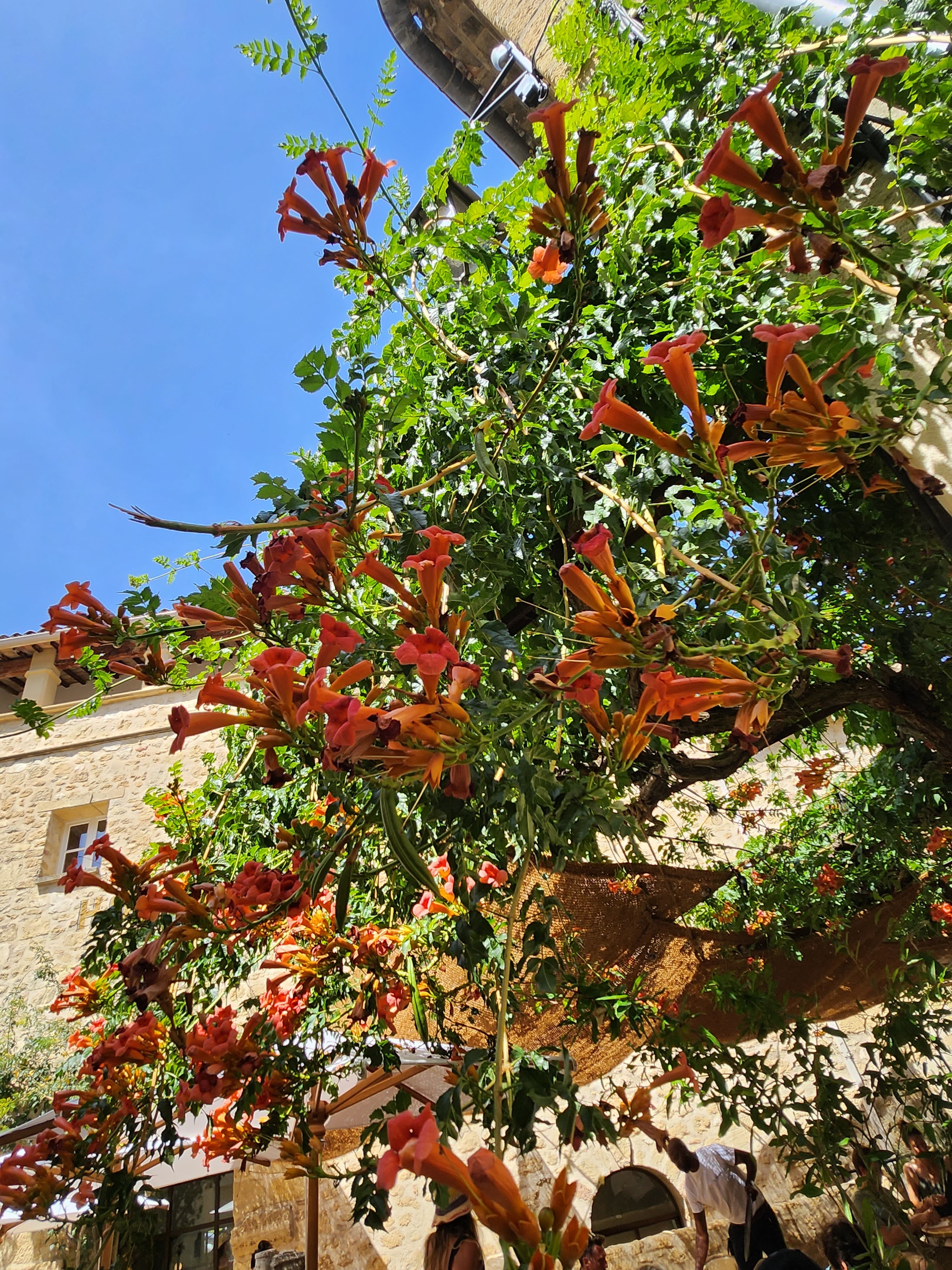 Photo n° 3 de l'avis de Isabelle.a fait le 21/08/2023 à 08:15