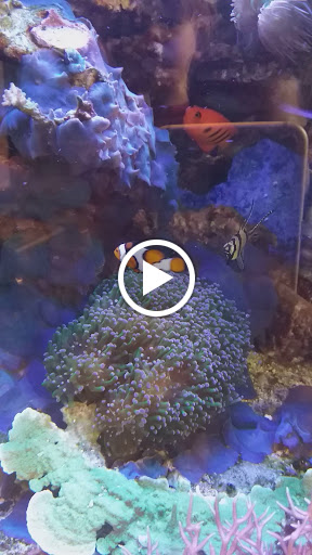 Museum «Museum of the Earth», reviews and photos, 1259 Trumansburg Rd, Ithaca, NY 14850, USA