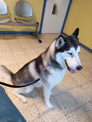 Autuoro Philippe à Cagnes-sur-Mer