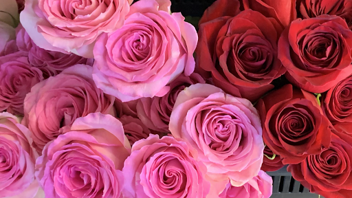 Florist «Blanca Flor Flower Shop», reviews and photos, 3102 Telephone Rd, Houston, TX 77023, USA