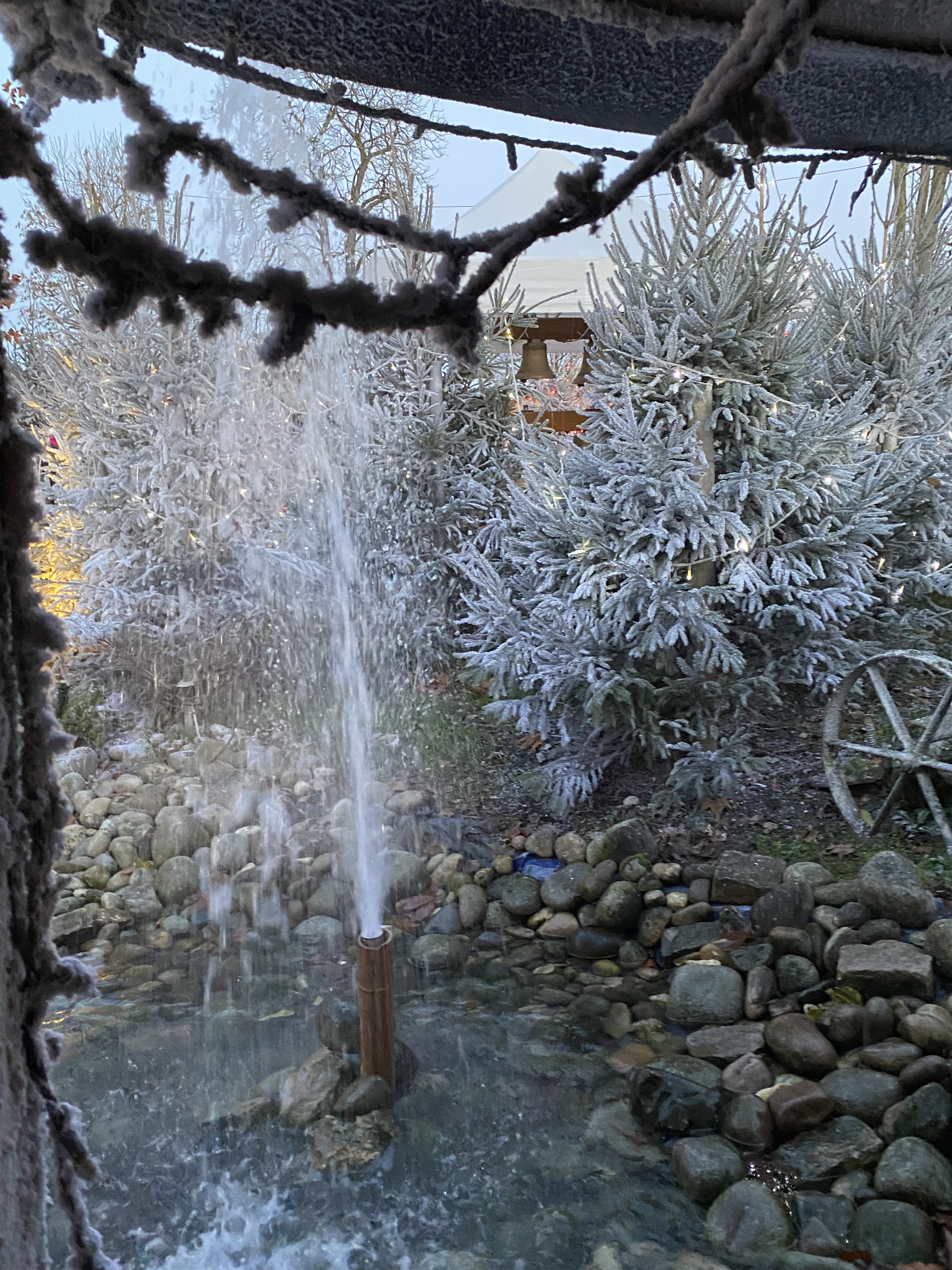 Photo n° 15 de l'avis de Patricia.a fait le 16/12/2022 à 10:36